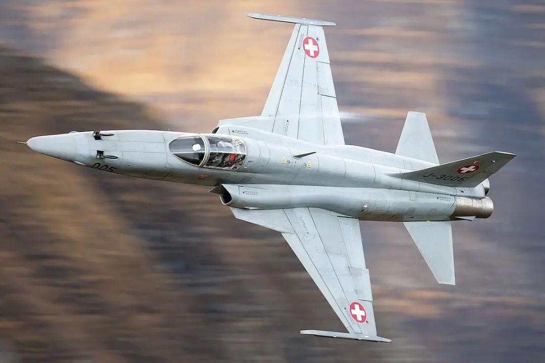 瑞士空军一架F-5战斗机坠毁，飞行员成功弹射生还