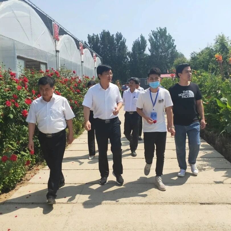 台湾农业考察团来大柳镇调研考察