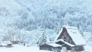第二届《雪村》(小说节选)