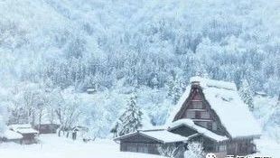 第二届《雪村》(小说节选)