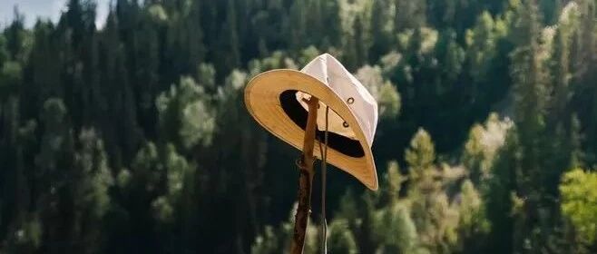 菜农(朗诵:刘怡君,作者:映梅)