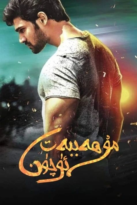 مۇھەببەت ئۈچۈن