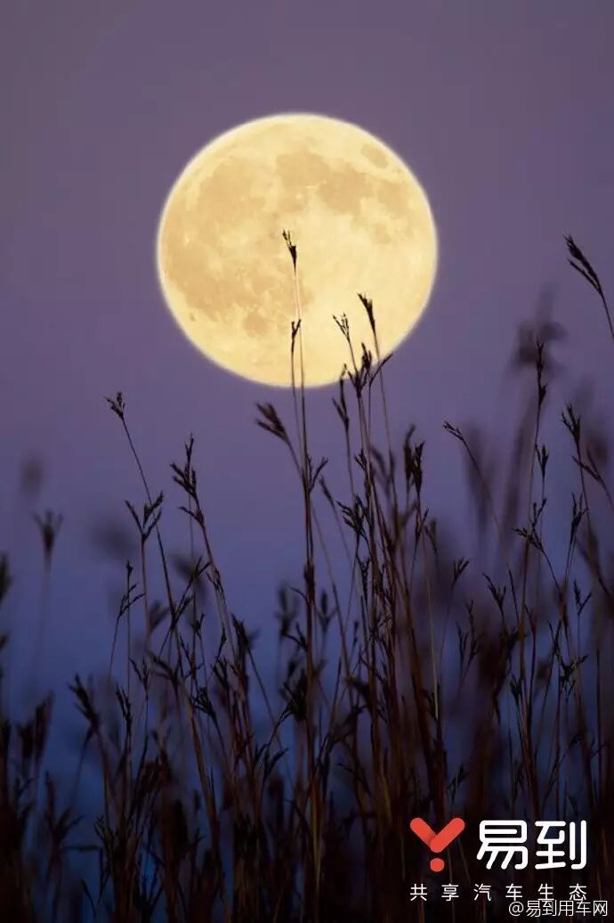 老司机福利 | 互联网公司为你们设计的海报大盘点