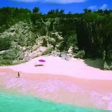 “抖音”里超火的粉色沙滩就在安提瓜！