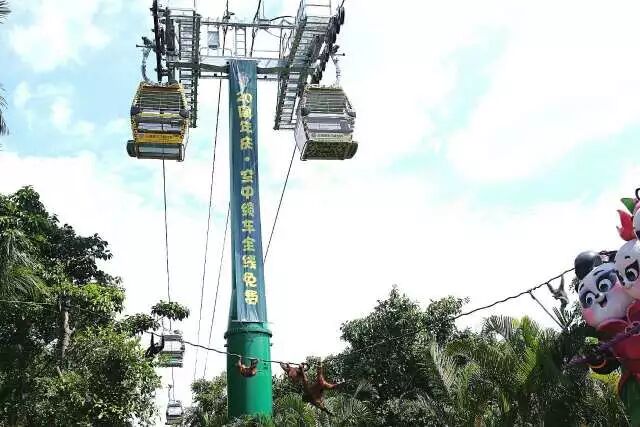 香江野生动物园 麻麻，偶要去长隆野生动物世界看萌宠（附游玩攻略）