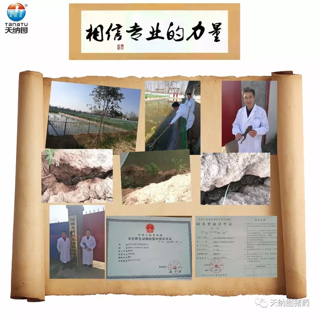 三子散