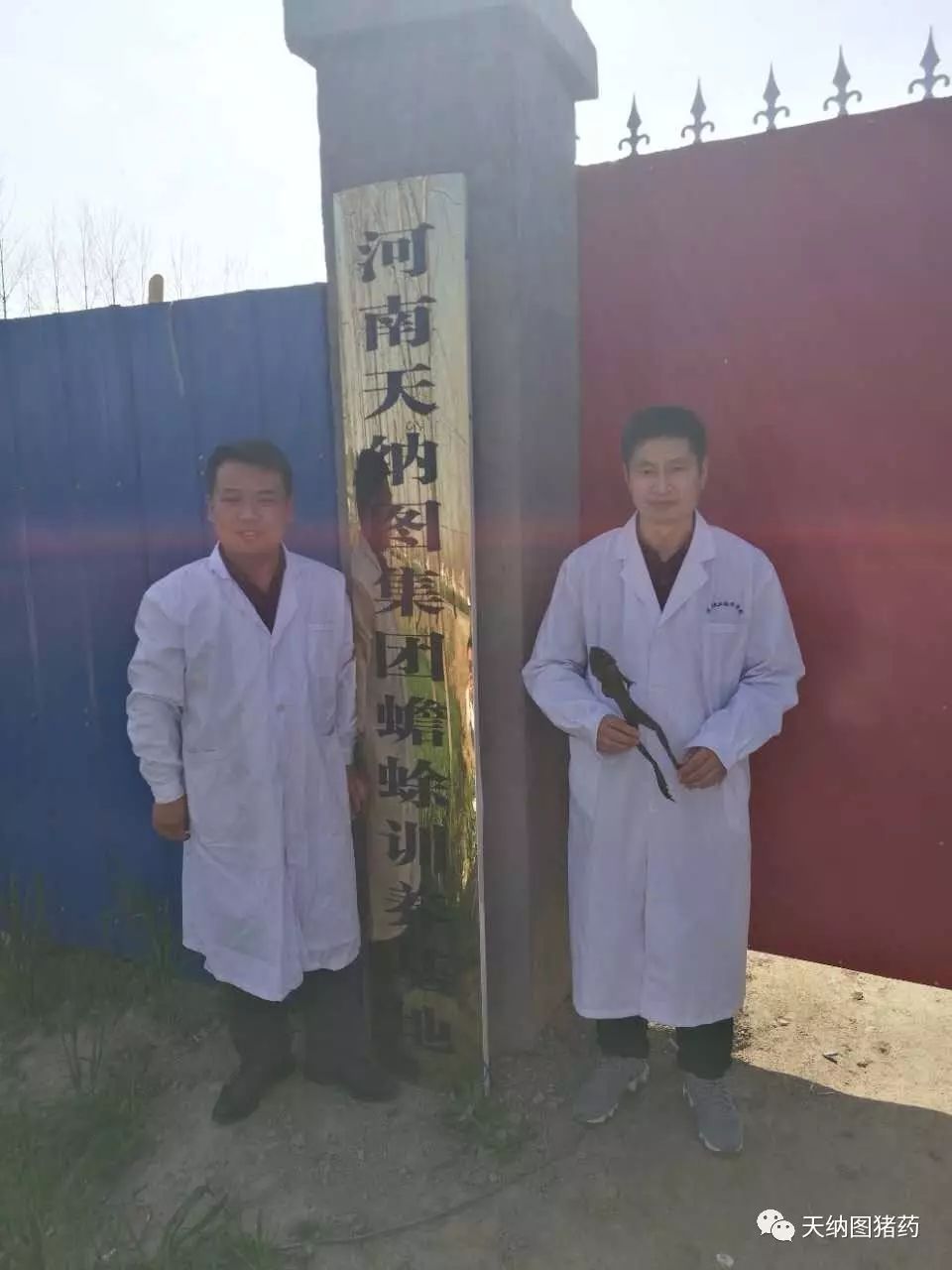 三子散