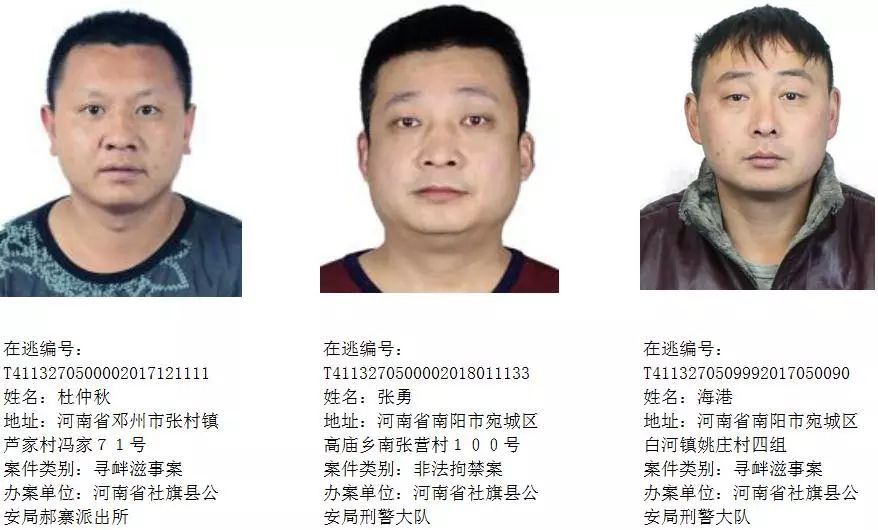 法网恢恢疏而不漏 南阳市公安局通缉令