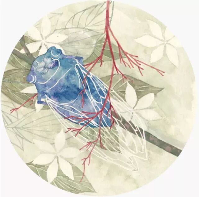 20171213172907_w0xefaraa9.png?v=1762063411258