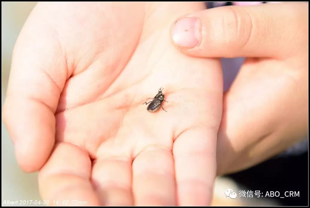 北京的大山-中国延庆世界地质公园-百里山水画廊自驾攻略