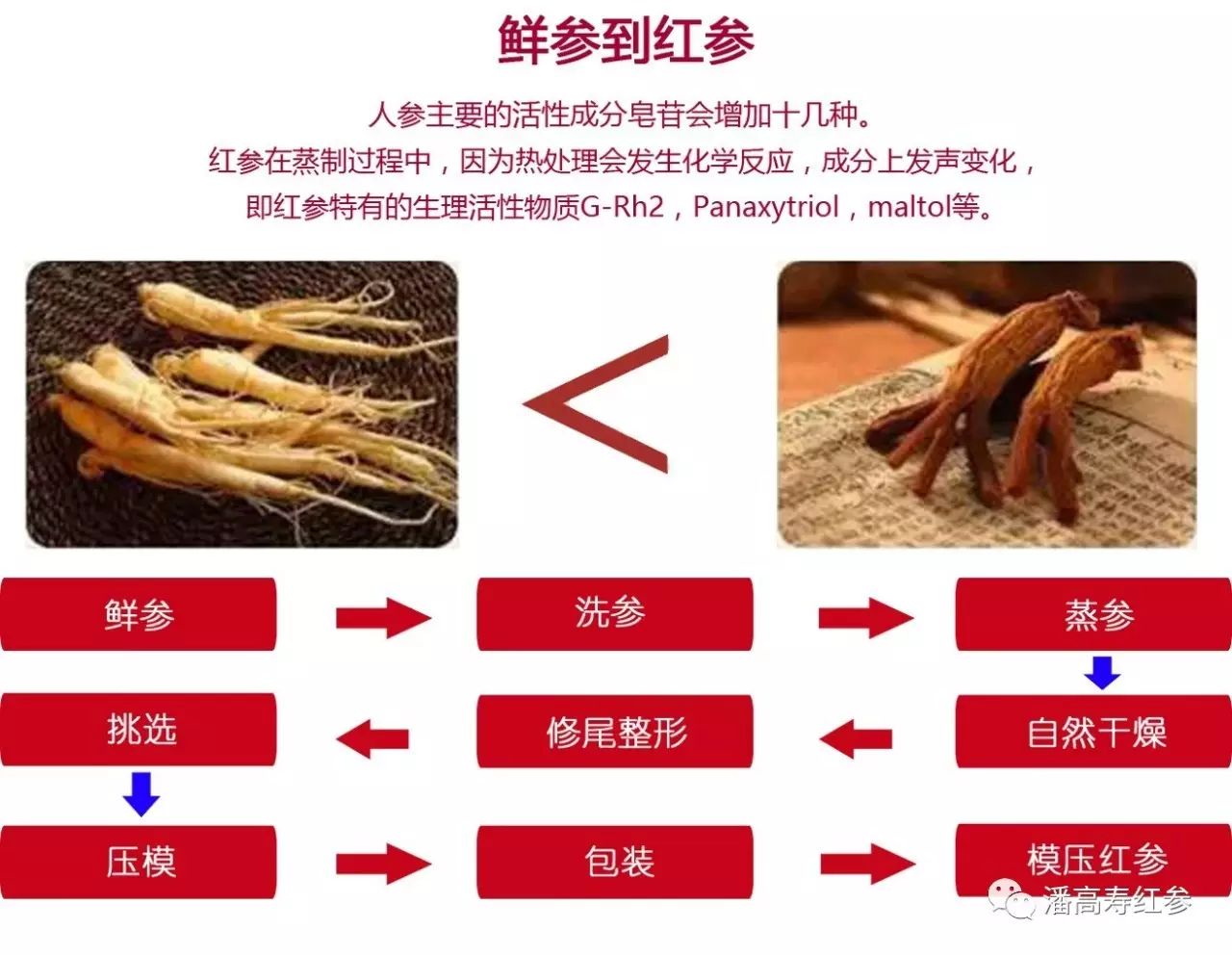 红参是什么?你不了解红参吗?