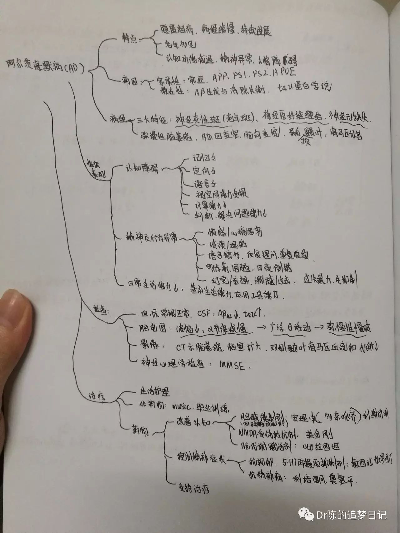 腰膨大:丽色儿 其它的可以看看上图 这种是我个人喜欢的详细的"思维导