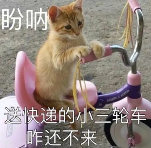 双十一刚过，我就成了“拆签户”