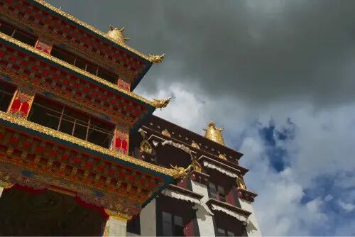 “丁真的世界”有规矩，这点不注意，直接进警局!