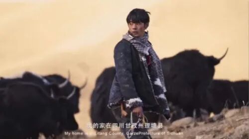 “丁真的世界”有规矩，这点不注意，直接进警局!