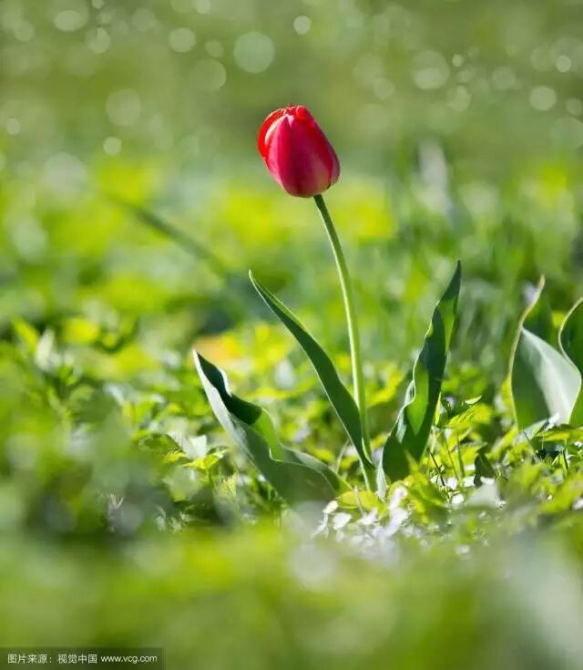 养生之道阳气不足百病生，教你如何补阳气