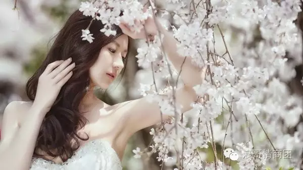 情商术语 情商术语