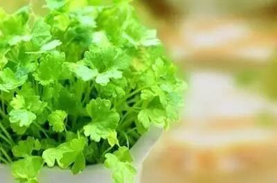 香菜是个“好宝宝”，降脂降压样样都行！741 / 作者:疾控客服 / 帖子ID:206667