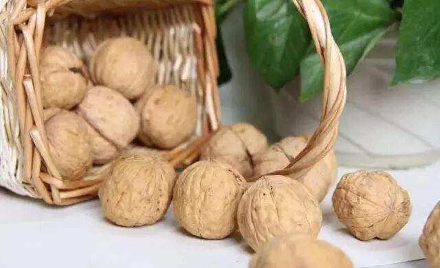 不要在傻傻以为核桃只能健脑！更多功效等你发现634 / 作者:疾控客服 / 帖子ID:206673