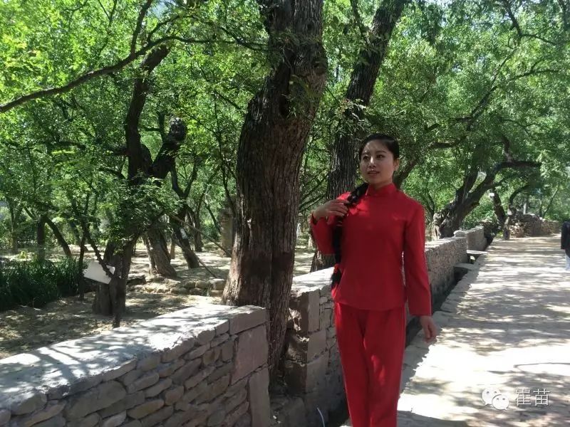 陕北小伙崔峰铭带着白俄罗斯洋媳妇回陕北了.洋媳妇就爱吃陕北大红枣.