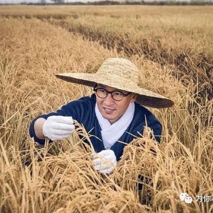 那些过气明星靠什么生活?唐僧小县城卖唱,周杰种田年入千万!