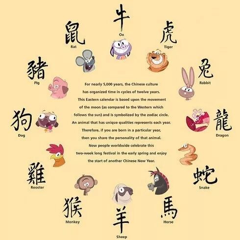 原来怀孕那天早已注定生男生女(准确率达97.99%)