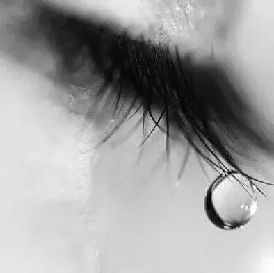 原来怀孕那天早已注定生男生女(准确率达97.99%)