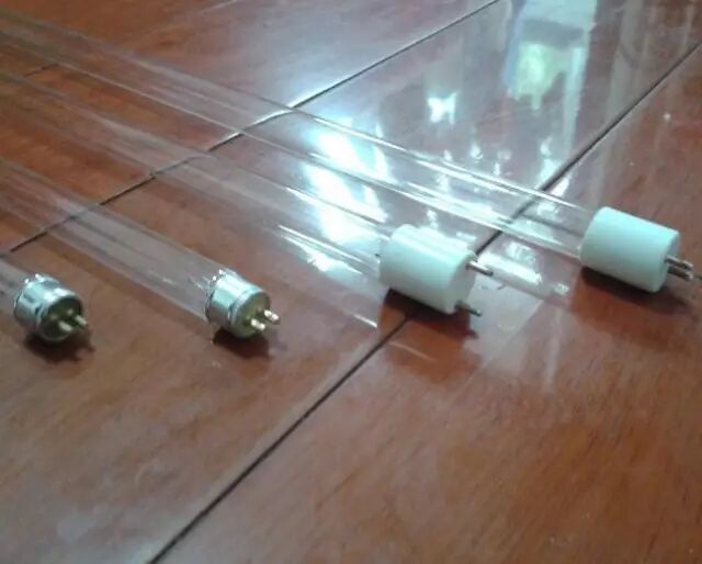 女子半夜突然眼睛疼得什么都看不见 罪魁祸首是它