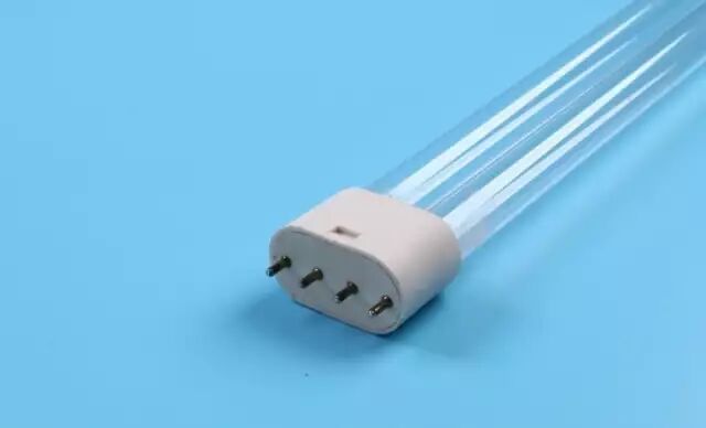 女子半夜突然眼睛疼得什么都看不见 罪魁祸首是它