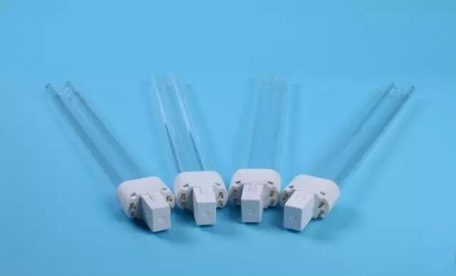 女子半夜突然眼睛疼得什么都看不见 罪魁祸首是它