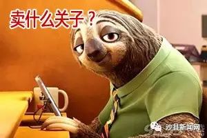 致富小吃机器大全_致富经小吃_致富小吃有哪些