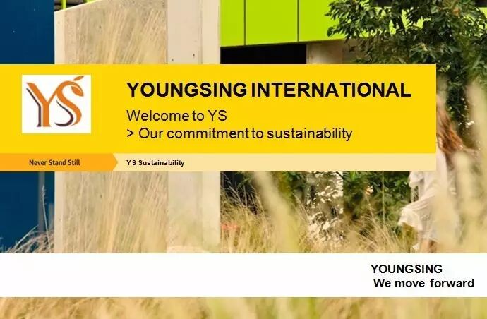 YS开云手机版登录入口