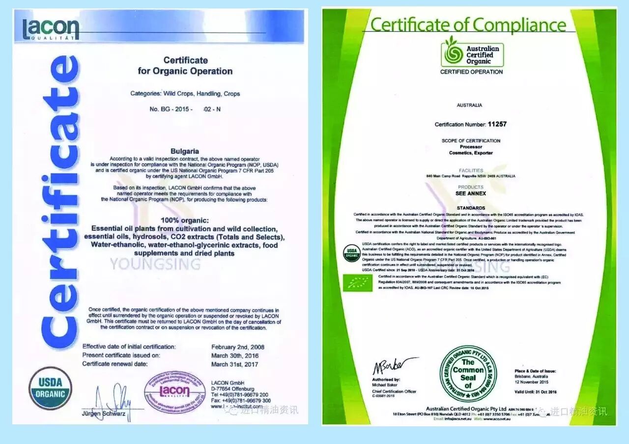 国际精油资质认证YS精油批发
