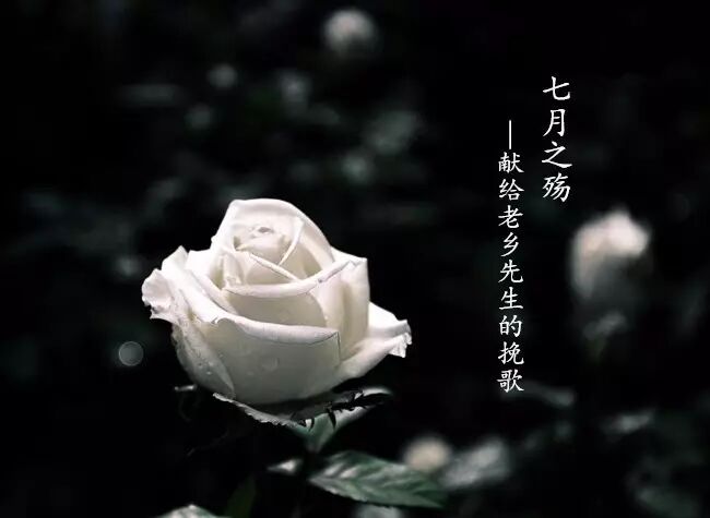 薇微诗话：古马《七月之殇—献给老乡先生的挽歌》朗诵  林平 ... ...