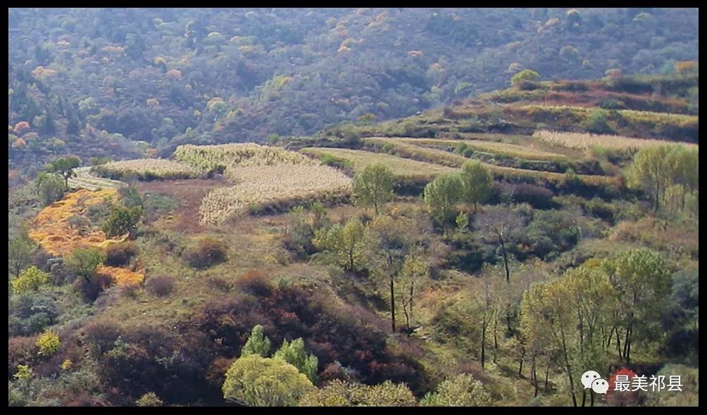 走遍祁县11峪口乡下凹村