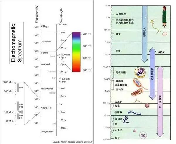 工作坊 | 声音疗法:用音叉的频率疗愈身体脏腑(推荐!