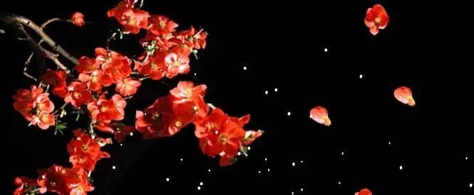 独家！【历史脱口秀】古代单身人士安度佳节指南