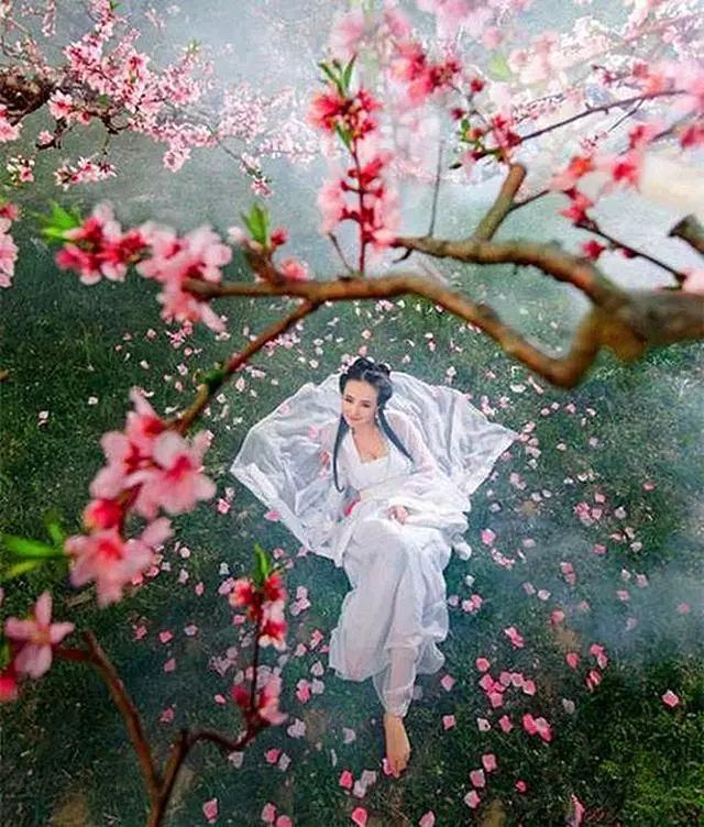 我们相遇,宛若桃花盛开 (情人节,一眼就醉!