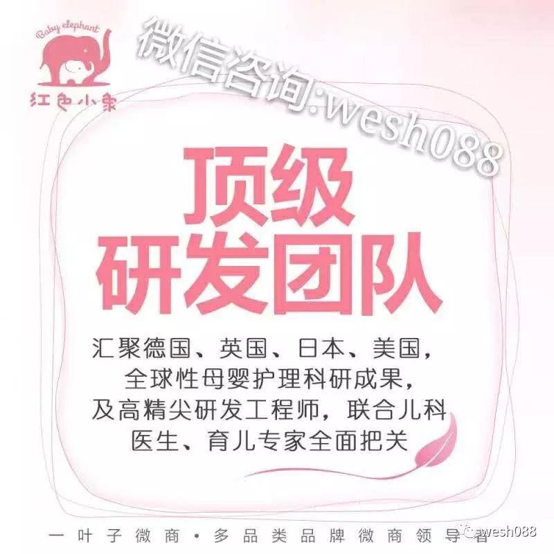 赵薇代言红色小象代理,叶子品牌如何代理?