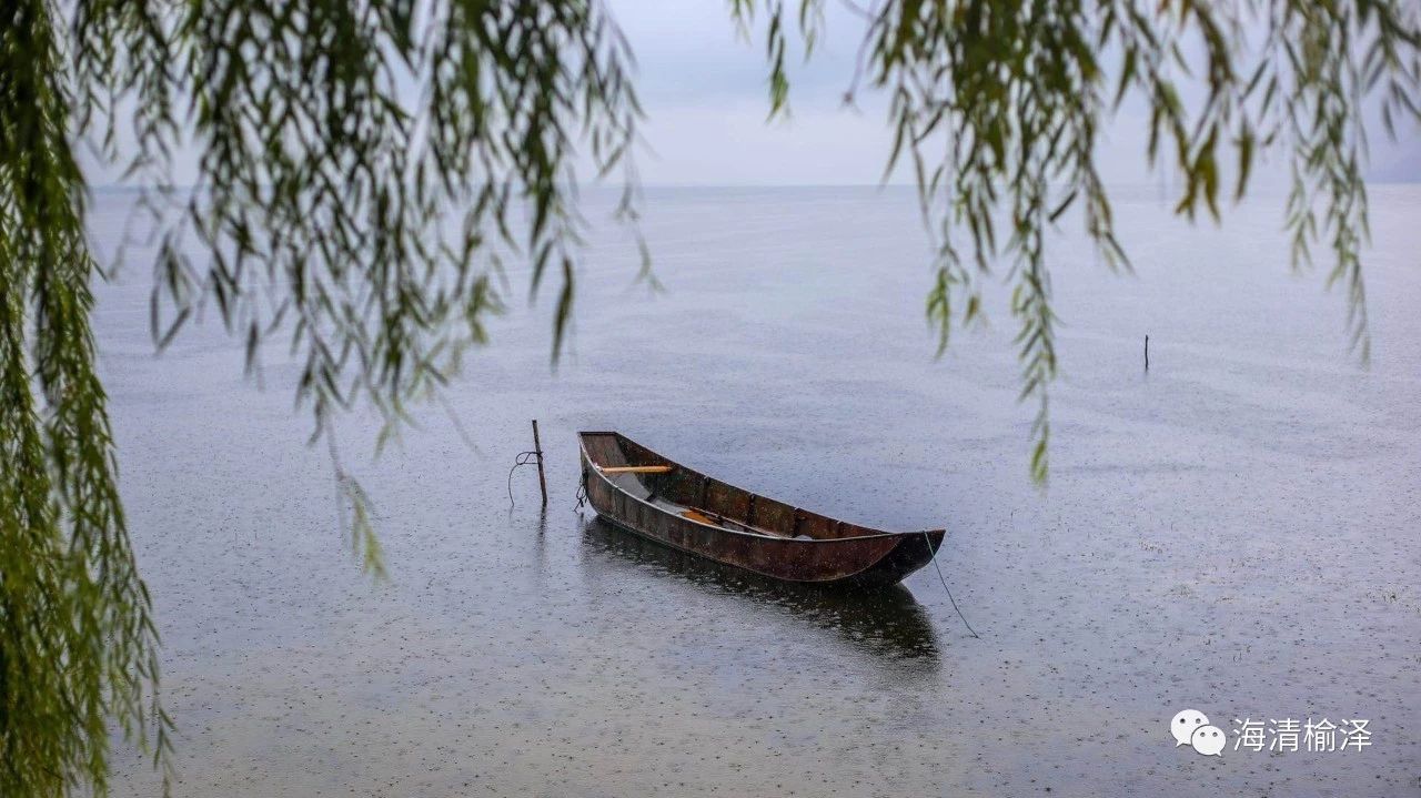 海清榆泽 | 田野调研结果(上)