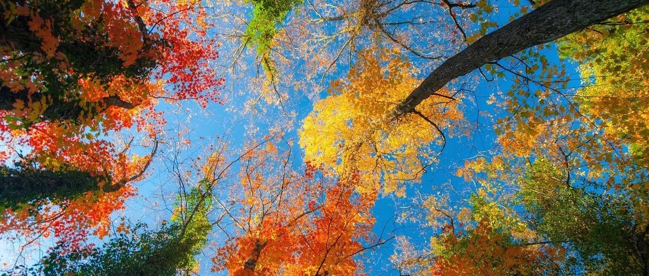 广西省桂林市中职学校-有哪些技工学校-高职有哪些学校