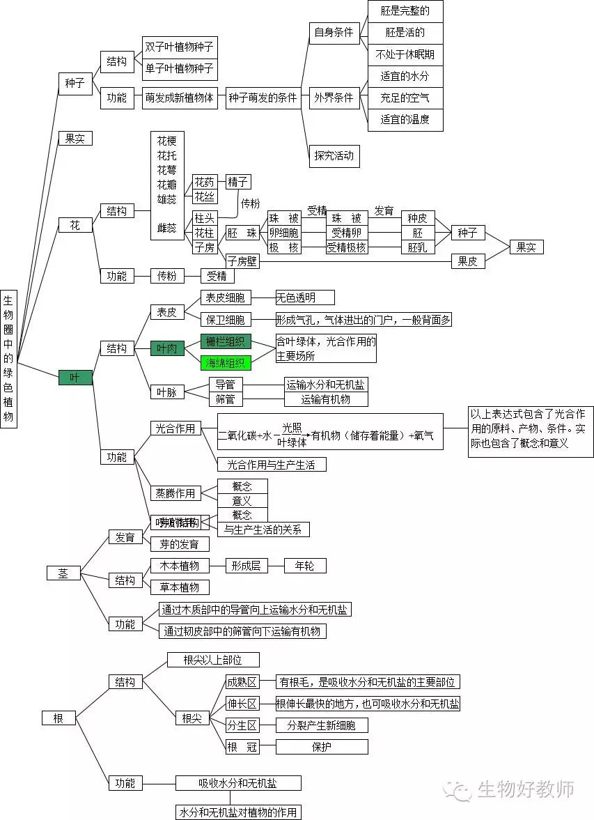初中生物概念图,绝对实用,快收藏吧!
