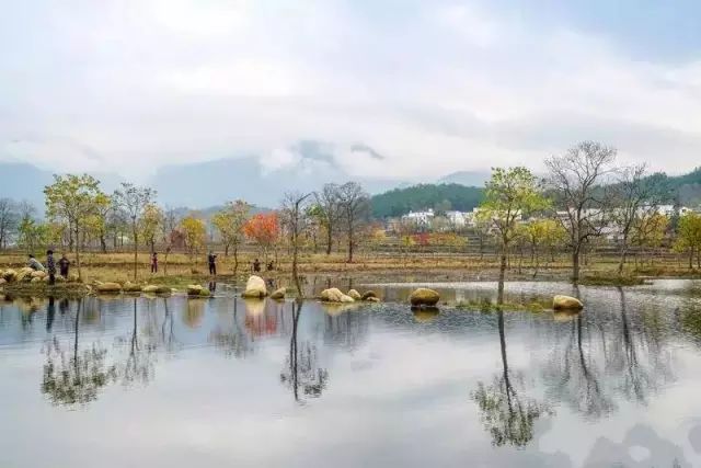 三里畈镇 张家垸村 胜利镇 纸棚河村 凤山镇 祝家山村 九资河镇 官