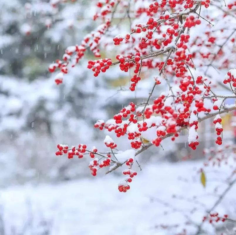 大雪天,从内到外怎么穿?