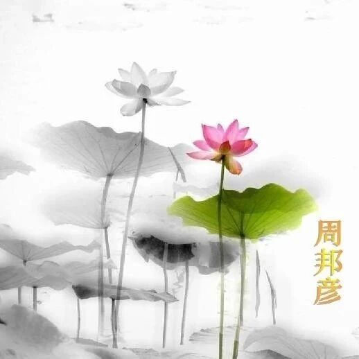 《苏幕遮》二十首