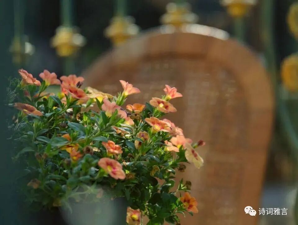 《管子》10句经典，蕴含人生大智慧