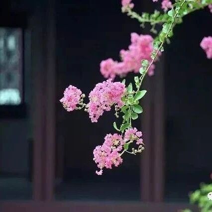 荀子：凡百事之成也，必在敬之