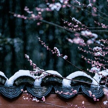 王阳明：坐中静，事上练，舍中得