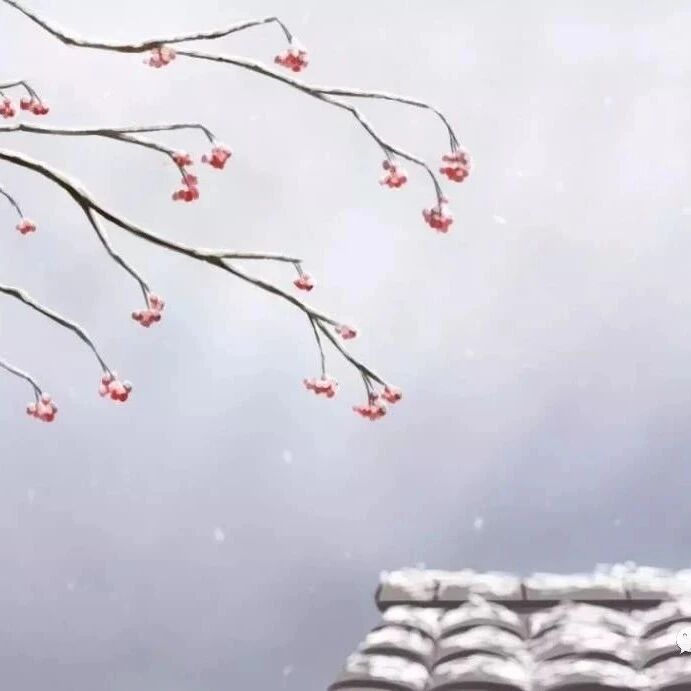 唐代伟大的现实主义诗人，唐代三大诗人之一白居易诗《夜雪》赏析