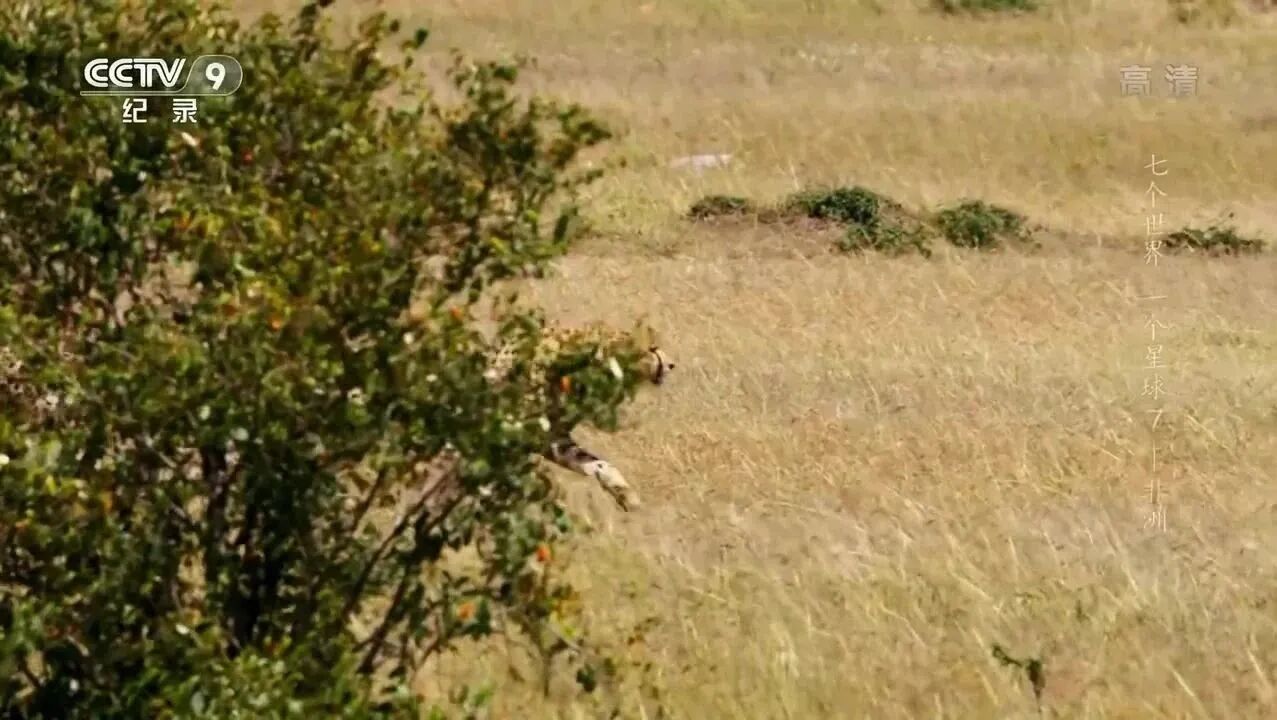 《七个世界 一个星球》7 非洲-1